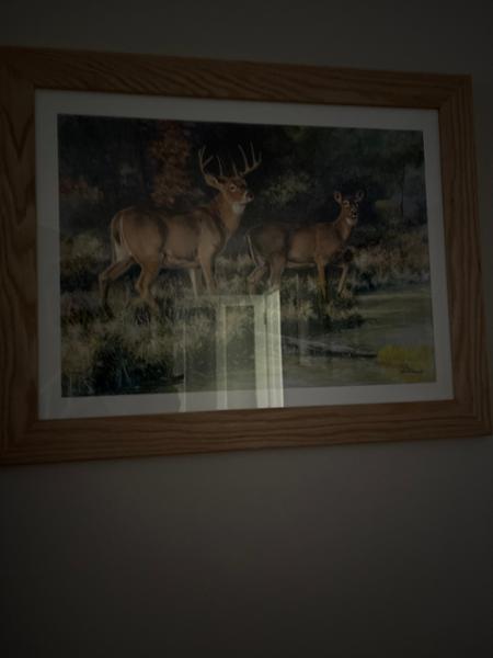 Such great value for custom made frames.