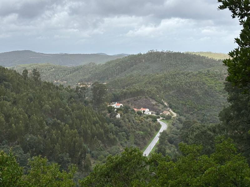 Portugal Walking