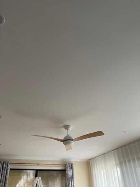 Lovely fan