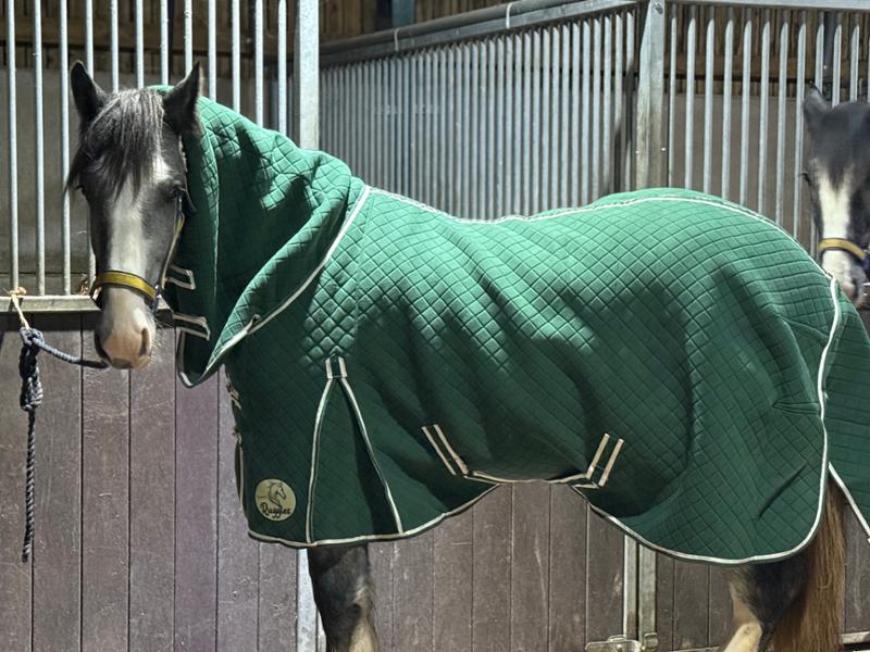 My horses get perfect huggles from ruffles