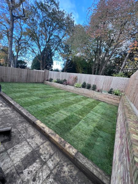 Good quality turf