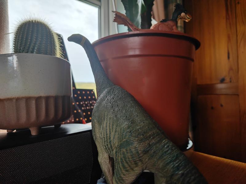 Everything dinosaur is amazing