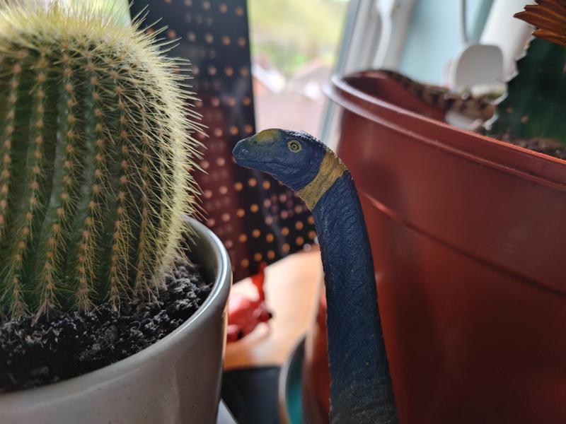 Everything dinosaur is amazing