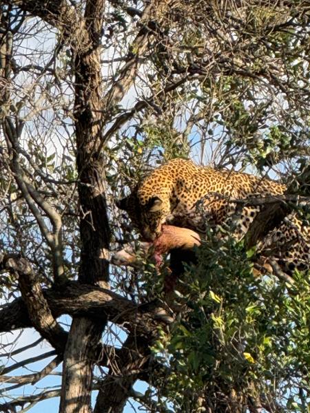 Best safari adventure ever