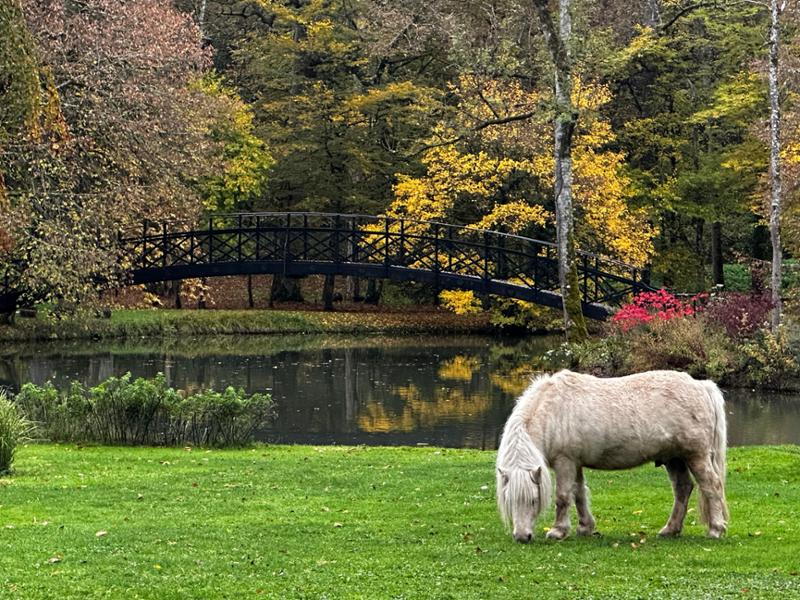 Memorable Fall in France on L’Impressionniste!!!
