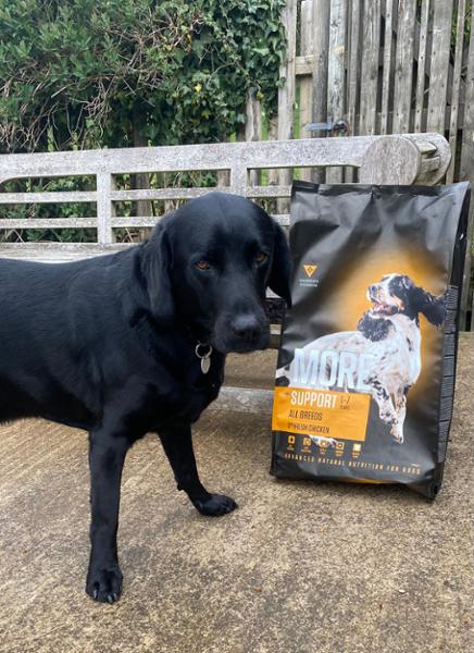 MORE Dog +Support All Breeds Chicken