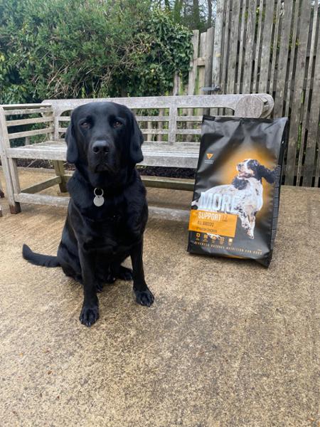 MORE Dog +Support All Breeds Chicken