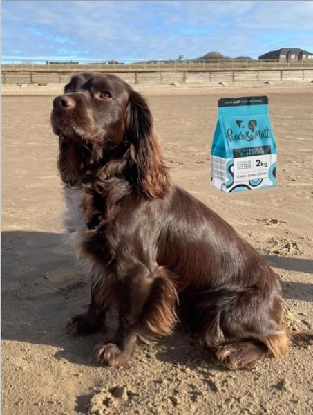 One very happy and healthy pooch