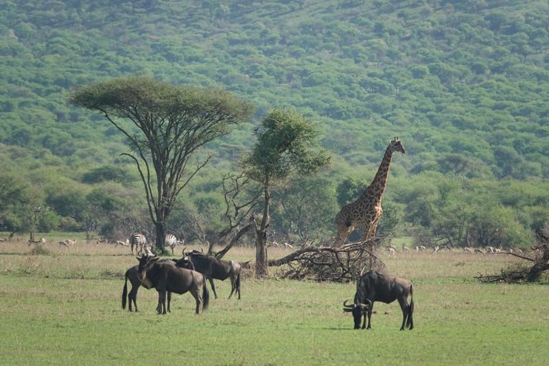 Tanzania - The trip of a lifetime!