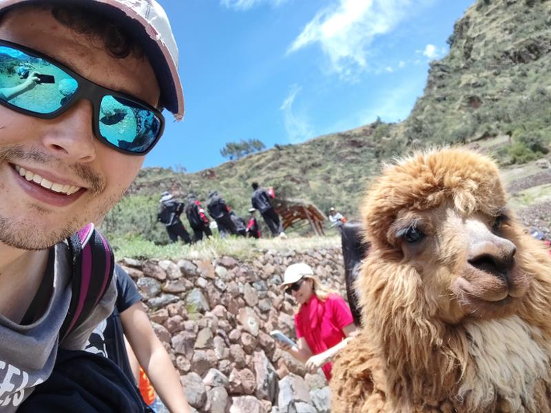 Great adventures with Contiki