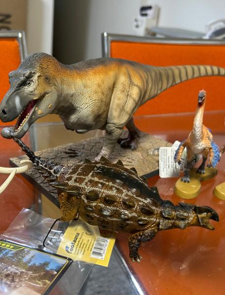 YOUR T. rex and service is AWESOME‼️
