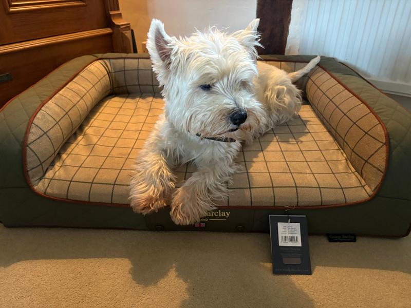 Fab dog bed