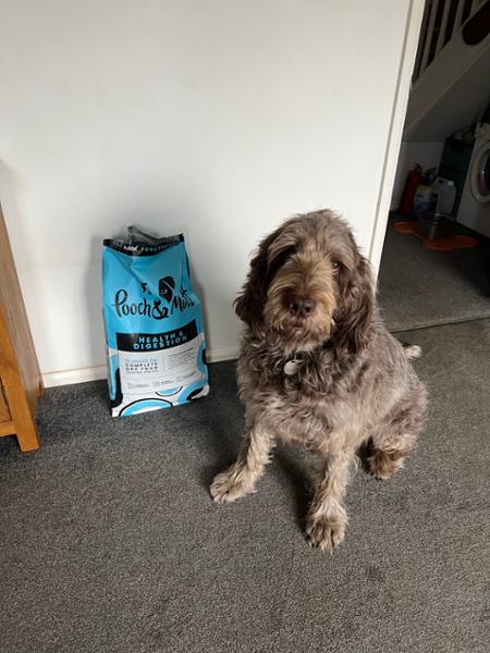 Best product and delivery service