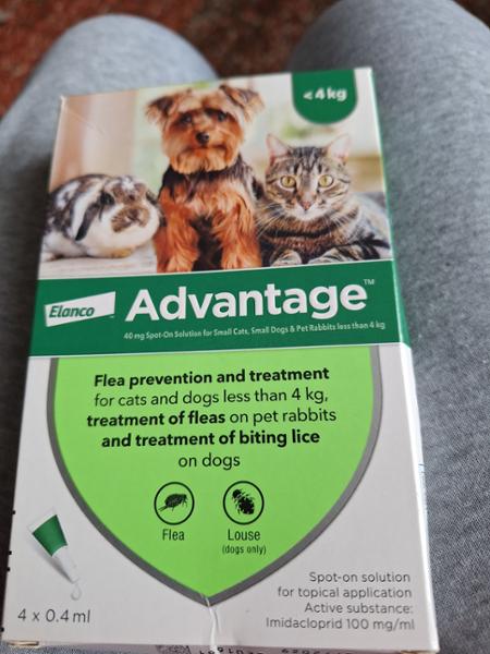 Advantage Spot On Flea Treatment