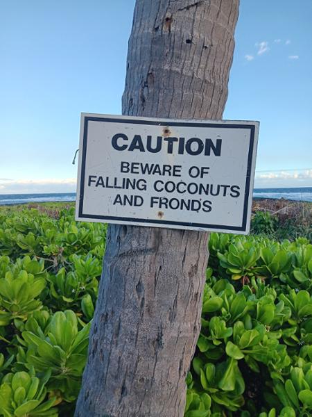 Hawaii Vacation