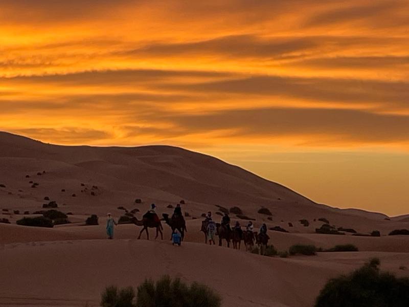 Best of Morocco
