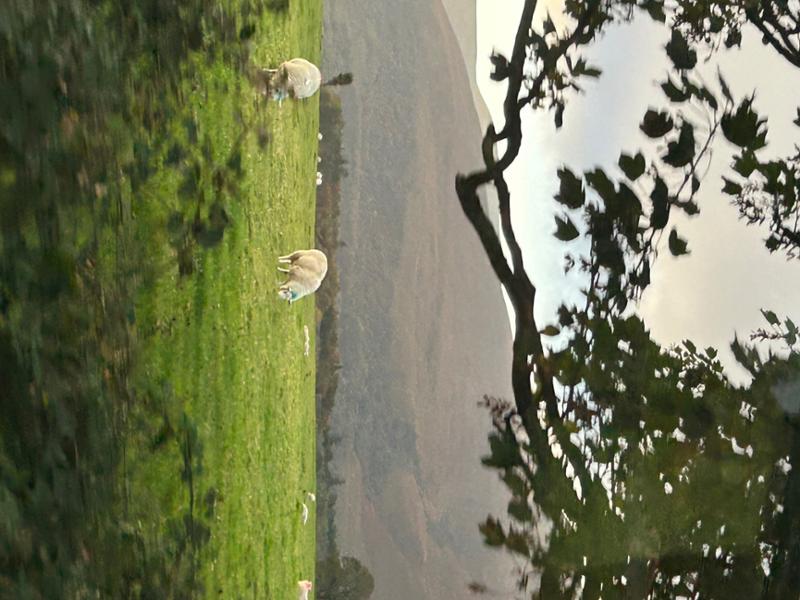 Love Ireland!