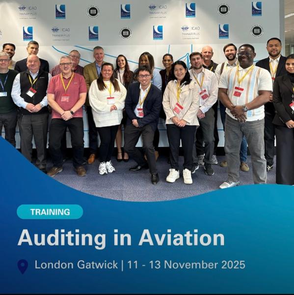 Audit Techniques