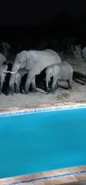 Wilderness of Southern Africa: Safari by Land & Water on 04/24/2026