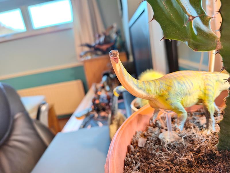 Everything dinosaur is perfect!