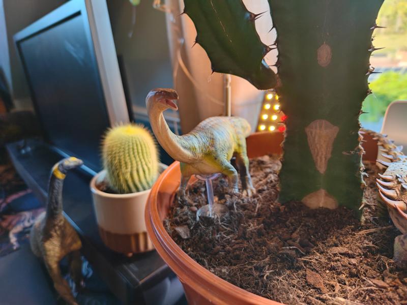 Everything dinosaur is perfect!