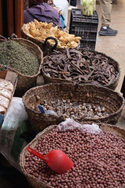 Highlights of Morocco