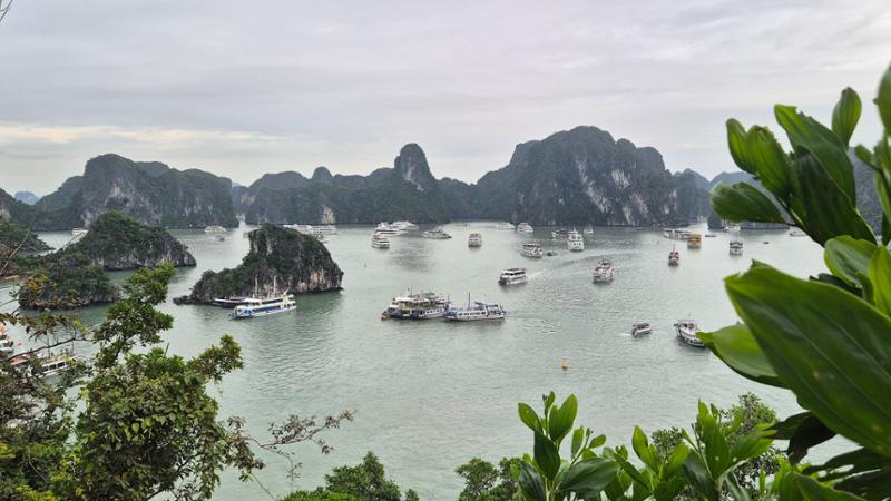4559-Vietnam & Cambodia Discovery