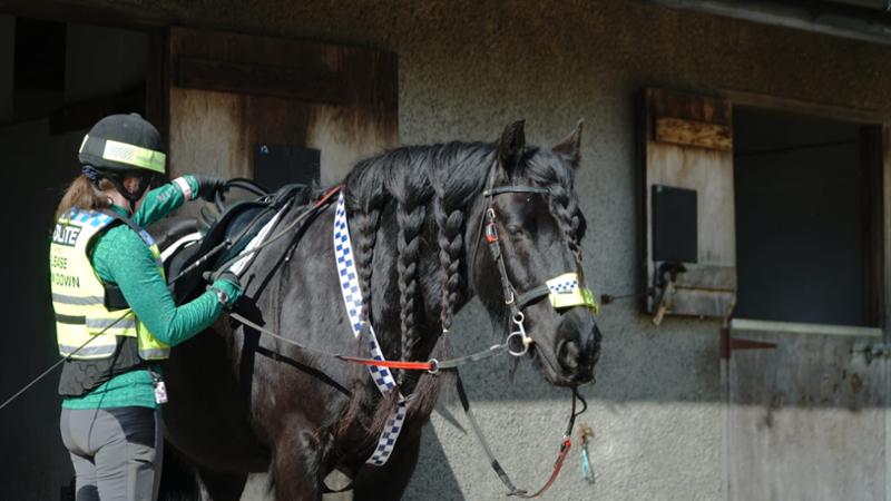 Very happy with Blue Chip