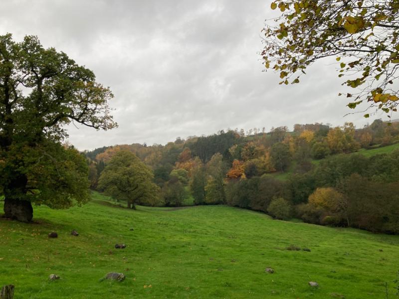 Contours is a great walking holiday company