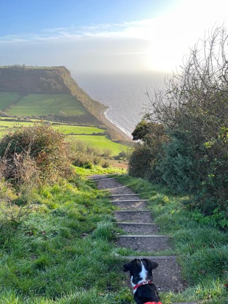 November Devon hike with dogs