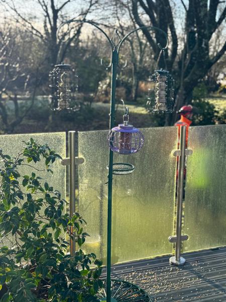 Patio Feeding Pole System - Green