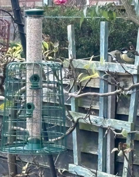 6 Port Bird Seed Feeder with Guardian