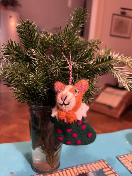 Catherine Cat In Stocking Christmas Decoration
