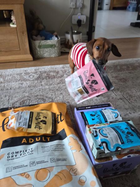 High Protein Beef Jerky for Dogs | 90% Baltic Beef | 210g | Pooch & Mutt | High Value Dog Treats For Training