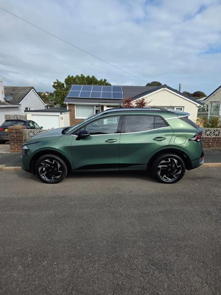 Love my sportage phev