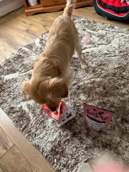 High Protein Beef Jerky for Dogs | 90% Baltic Beef | 210g | Pooch & Mutt | High Value Dog Treats For Training