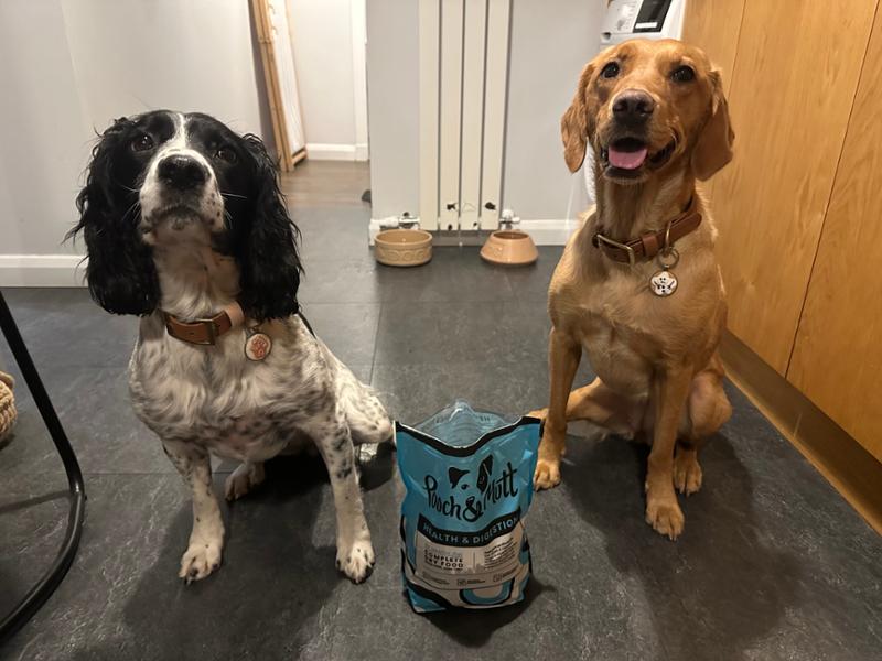 Sensitive Stomach Dry Dog Food | 2kg | Pooch & Mutt Health & Digestion Dry Dog Food | Prebiotic Dog Food For Digestive Issues | Grain-Free