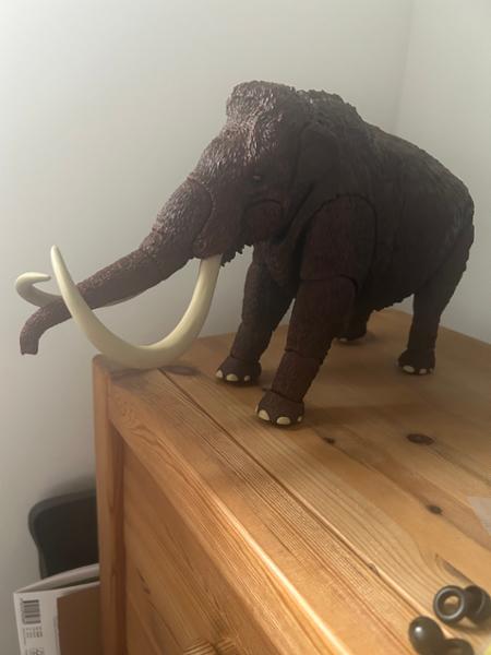 Roarsome!