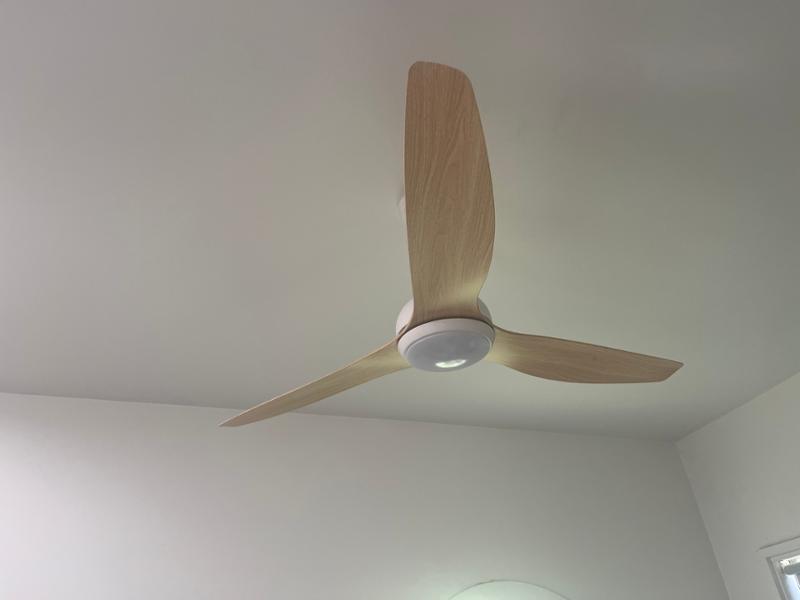 I’m a fan