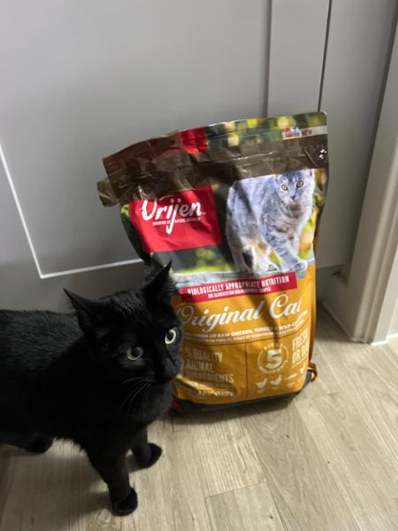 ORIJEN Original Cat
