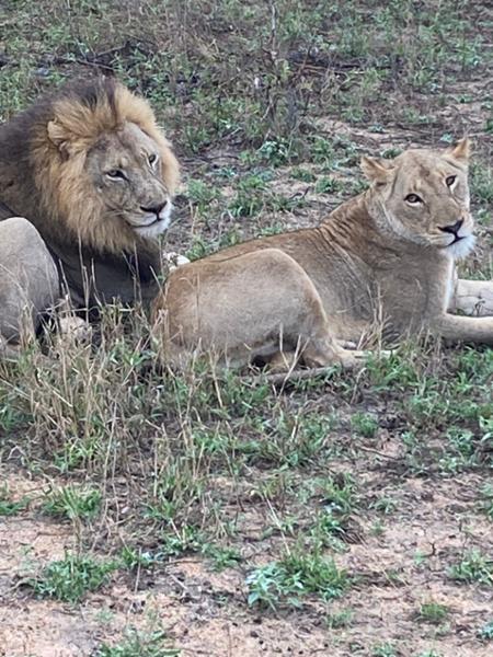 A wonderful, well organised safari holiday