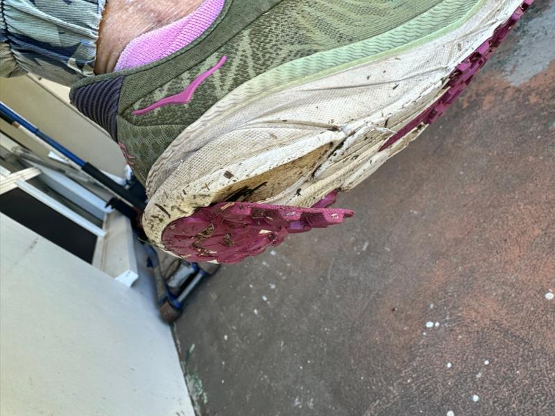 Hoka shoes not long lasting