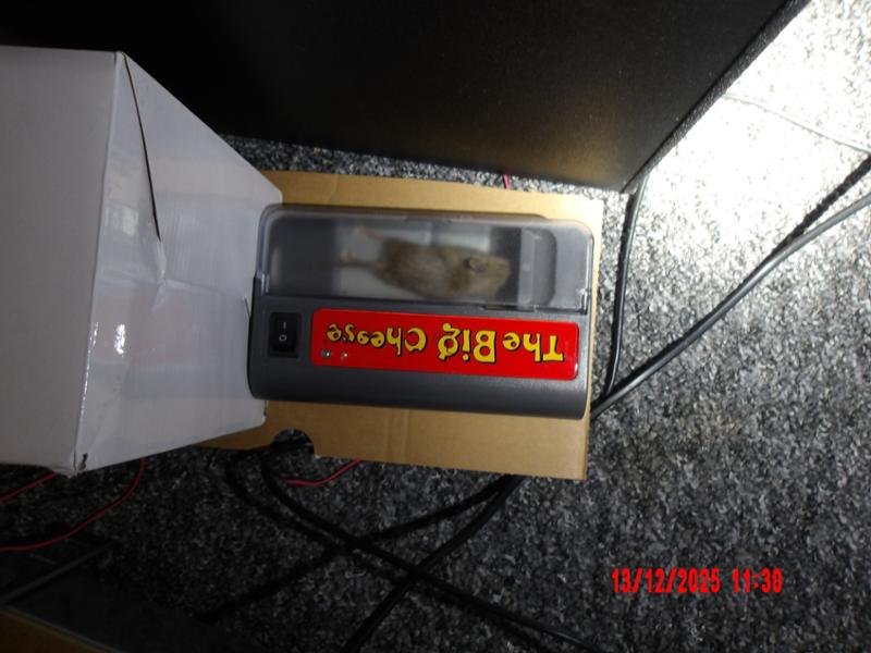 The Big Cheese Live Multi-Catch Mouse Trap, Baited, Ready to Use & Humane