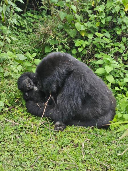 Africa experience of a lifetime