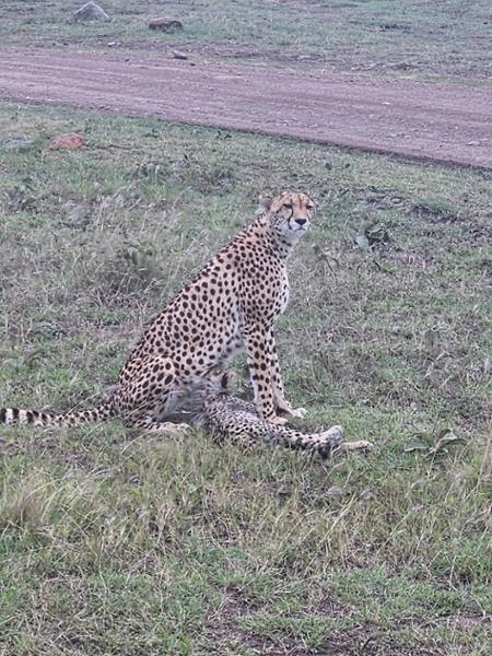 Africa experience of a lifetime