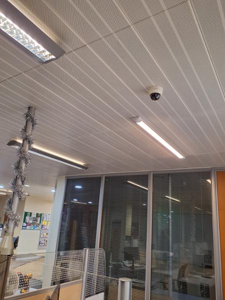 Excellent lights