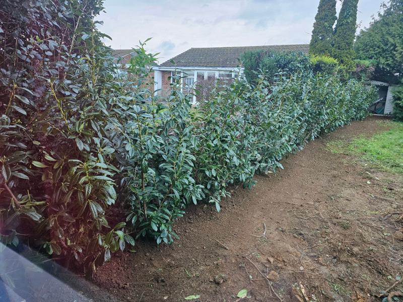Hope Grove nursery...5star