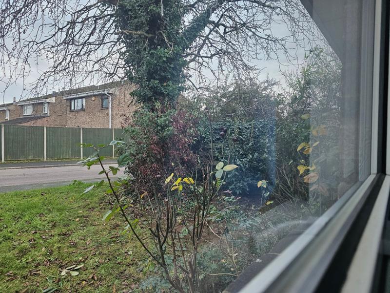 Hope Grove nursery...5star