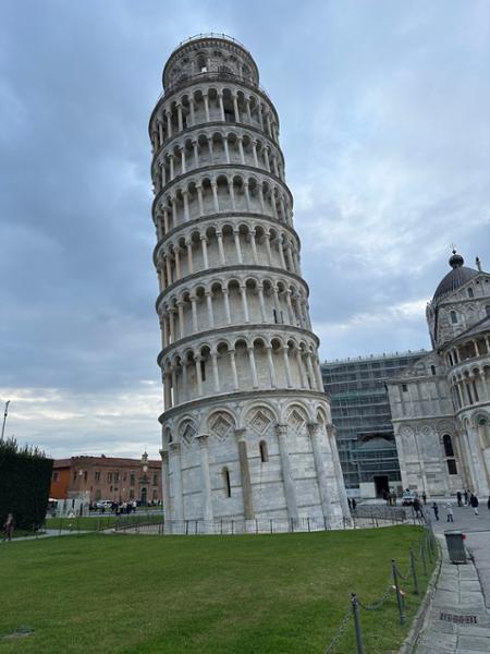 European experience with cost saver
