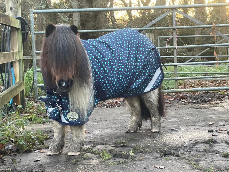 Brilliant rugs thank you so much